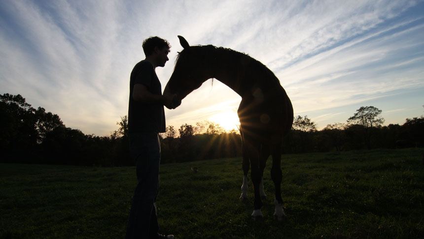 photo of horse at welbourne farm